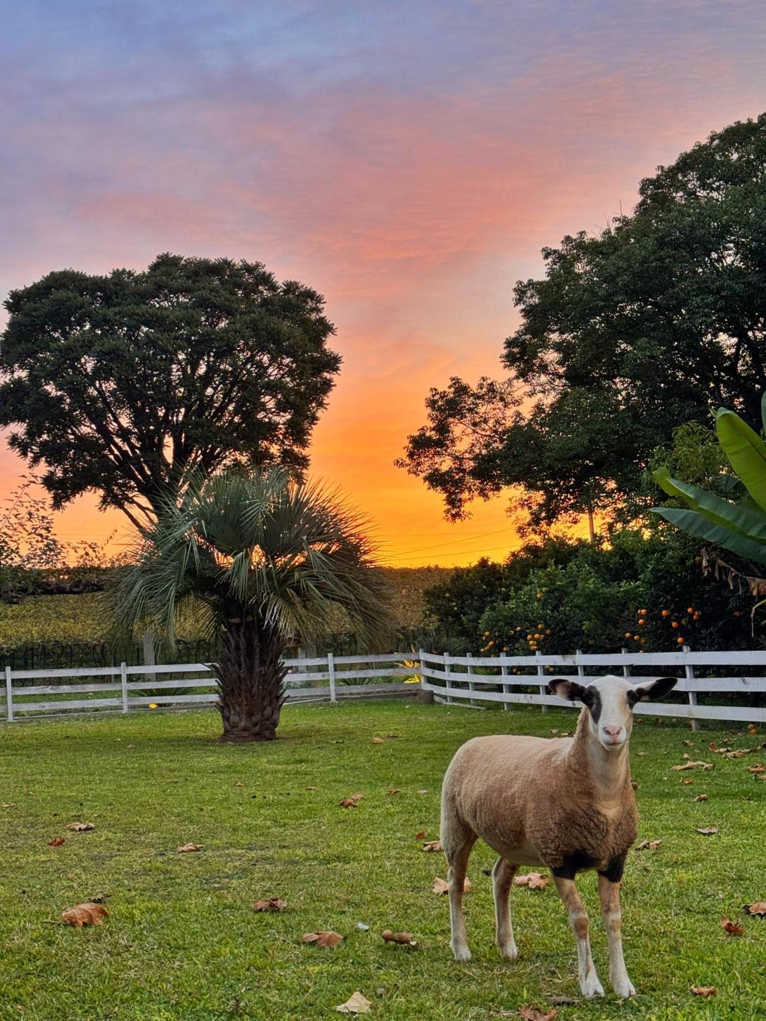 Capanna Del Vale - Um Refugio No Vale Dos Vinhedos Com Experiencia Exclusiva De Degustacao Na Vinicola Dom Candido Bento Gonçalves Buitenkant foto